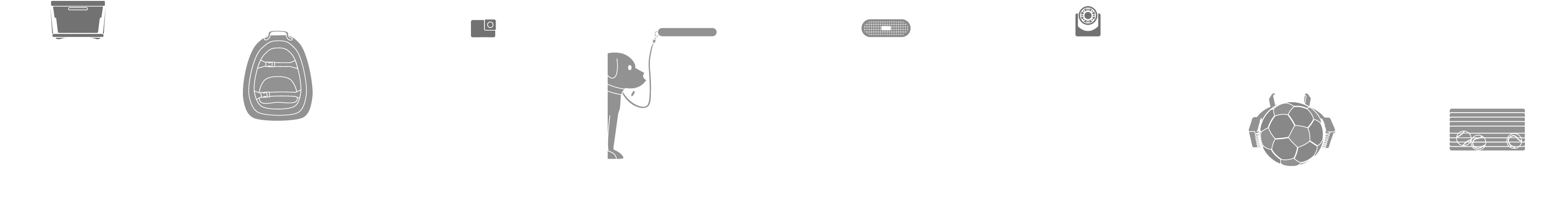 Accessory
